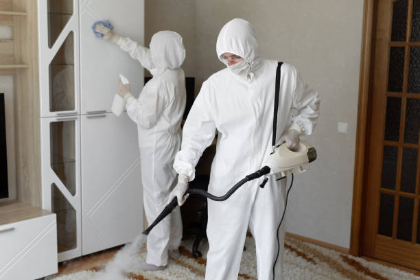 Mold Testing and Removal in New Hope, MS